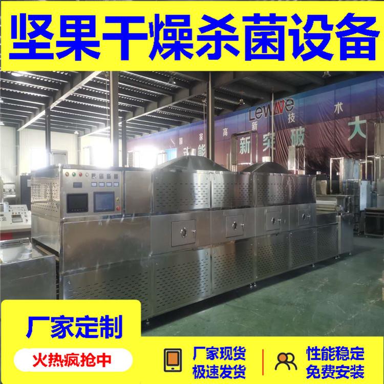 瓜子坚果熟化设备 腰果微波杀菌烘焙机 干果核桃烘烤设备