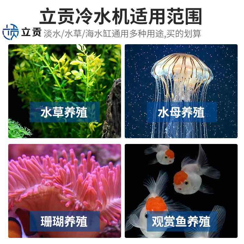 新款直销LG-CY300家用水族箱珊瑚鱼缸专用冷水机户外小型冷疗冰浴