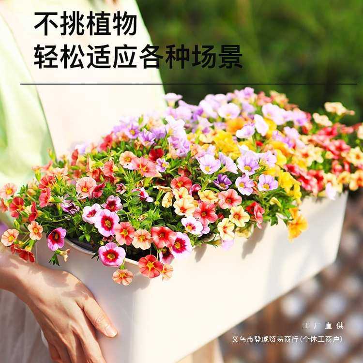 新款家庭阳台自吸水种菜盆懒人长方形种花塑料种植箱挂墙花盆,鲜花速递/花卉仿真/绿植园艺,花盆,淘宝优惠券,粉丝福利购,淘宝优惠卷