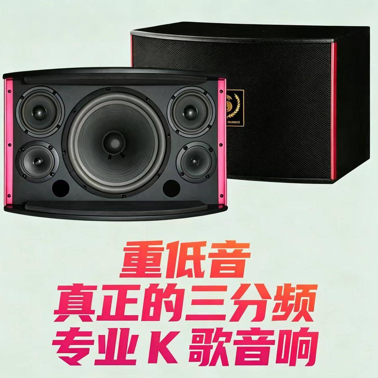 专业卡拉OK音箱KTV音响套装家用8寸10寸12寸卡包音箱功放K歌会议