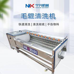 宁兴土豆毛辊清洗机萝卜莲藕芋头毛刷清洗设备去皮去泥去鳞机器