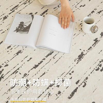 地面毯客厅轻奢高bsr01062级感新卧室沙大积全铺免洗可擦发奶油风