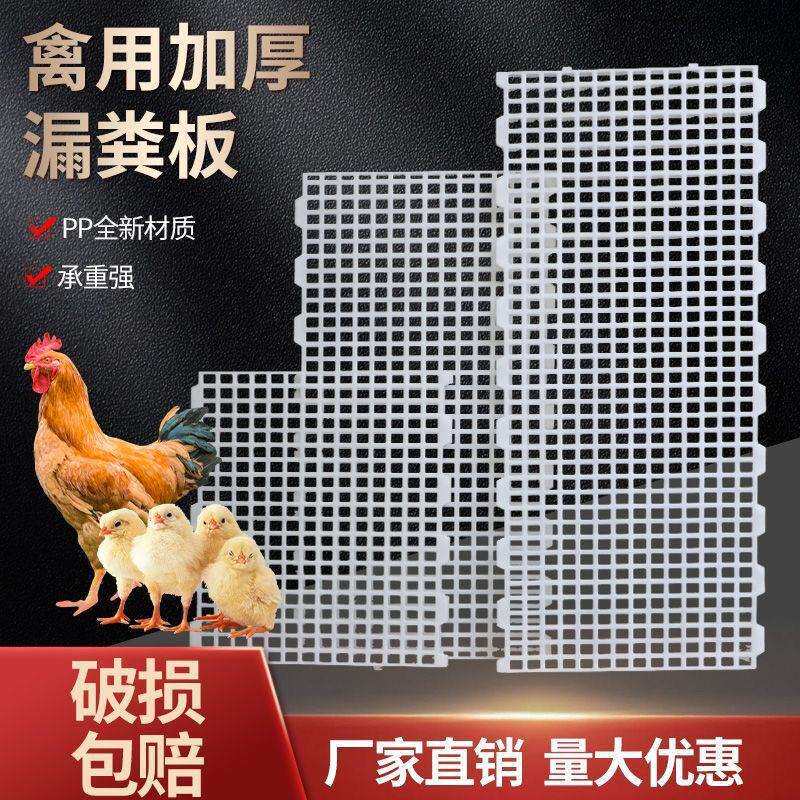 鸡笼脚垫漏粪板鸡鸭家禽接粪板地板小鸡养殖保育加厚鸽子塑料