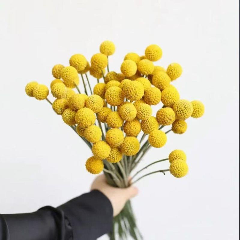 黄金球干燥花花束干燥花diy花材高级感真花天然植物装饰端午