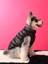 狗狗衣服2023冬季外套加厚保暖羽绒服无袖马甲小型犬泰迪衣服