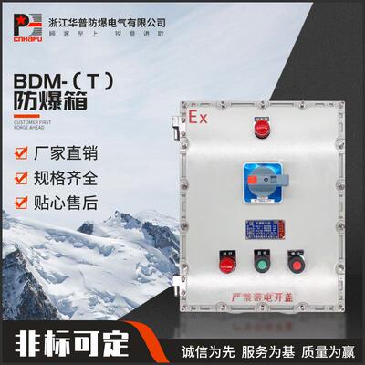 防爆配电箱BDM-T隔爆型接线箱控制箱电源检修箱多材质防爆箱
