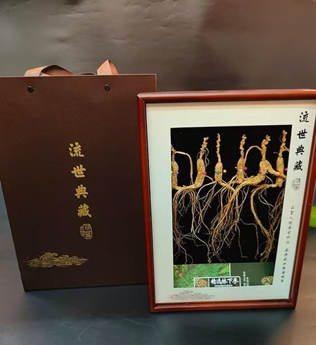 捡漏【1盒】长白山林下山参6支木盒装礼盒送礼泡酒滋补礼品山参