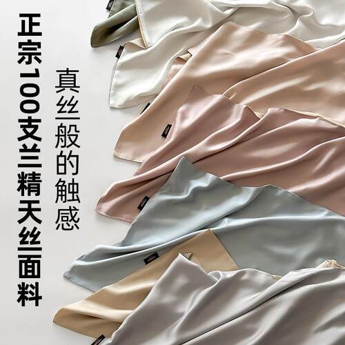 高端A类超细旦LF100支兰精天丝枕套一对装超柔丝滑凉感夏天枕头套
