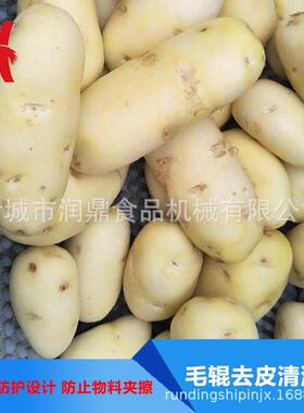 脐橙毛辊抛光机生产厂家土豆去皮机全自动毛辊喷淋清洗去皮设备