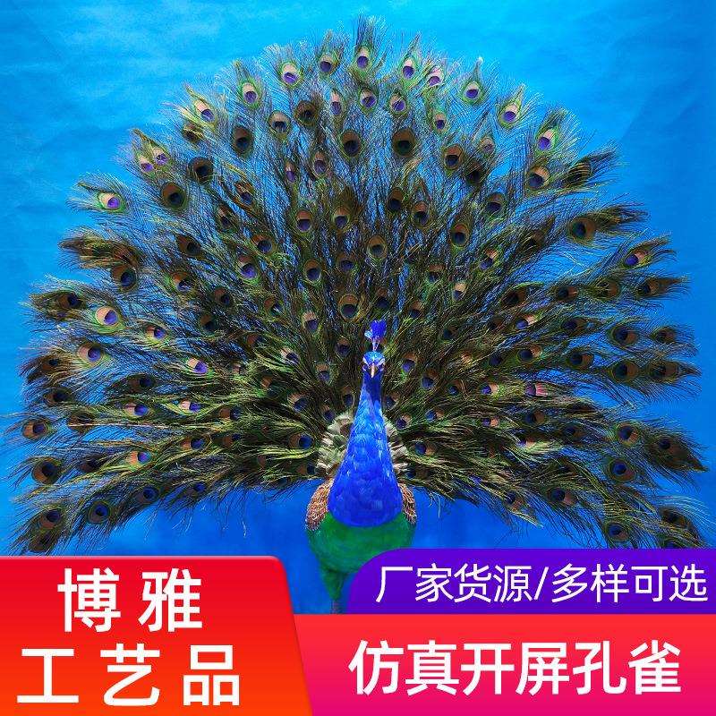 直销羽毛仿真开屏孔雀摆件家居园林橱窗装饰布景摆设摄影道具