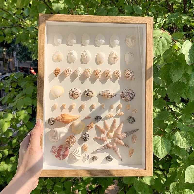海边贝壳海螺diy标本框自制手工礼物纪念画框中空正方形简约相框