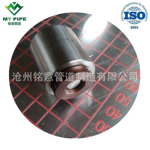 管道测量蠕胀测点 MEA蒸汽管道蠕胀测点 合金蠕胀测点GD87-0909