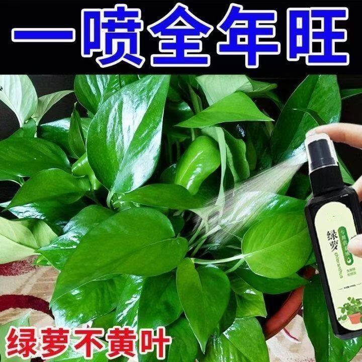 营养液专用专用绿萝黄叶生物菌肥