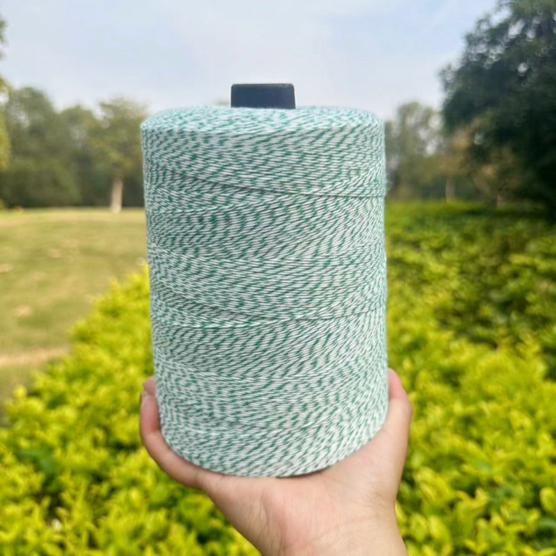 档案袋粽子粽子腊肉腊肠肉肠绳子