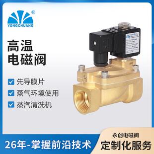 永创YCP11先导膜片式电磁阀蒸汽清洗机/蒸汽发生器实力厂家