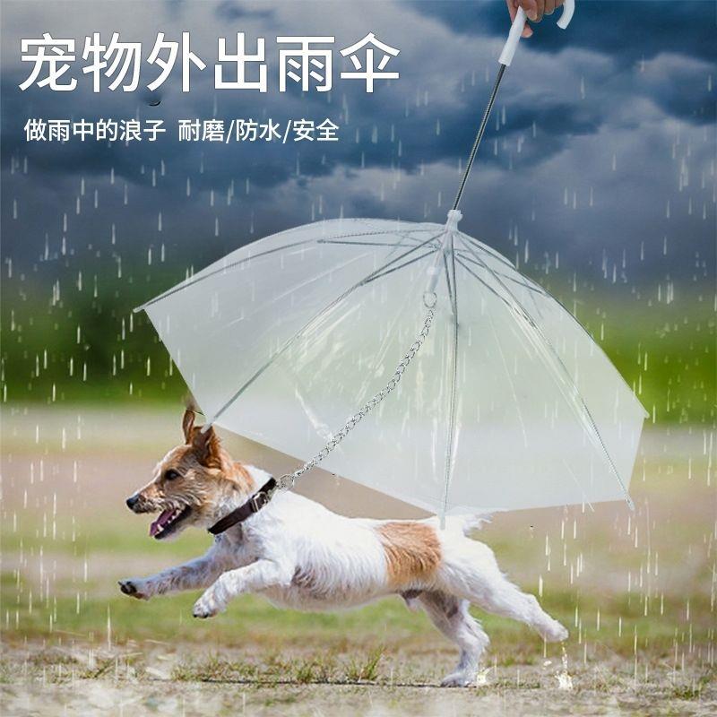 透明小清新宠宝雨伞宠物雨季神器专用防淋狗用雨天享用遛狗伞