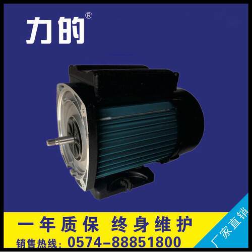 WPP浴缸泵电机 广泛用于工程塑料泵，海水泵，按摩浴缸，鱼池循环