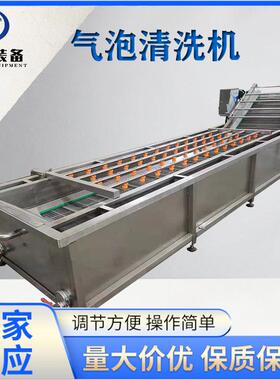 果蔬气泡清洗机西红柿清洗流水线线MT-6000竹笋清洗机现货供应