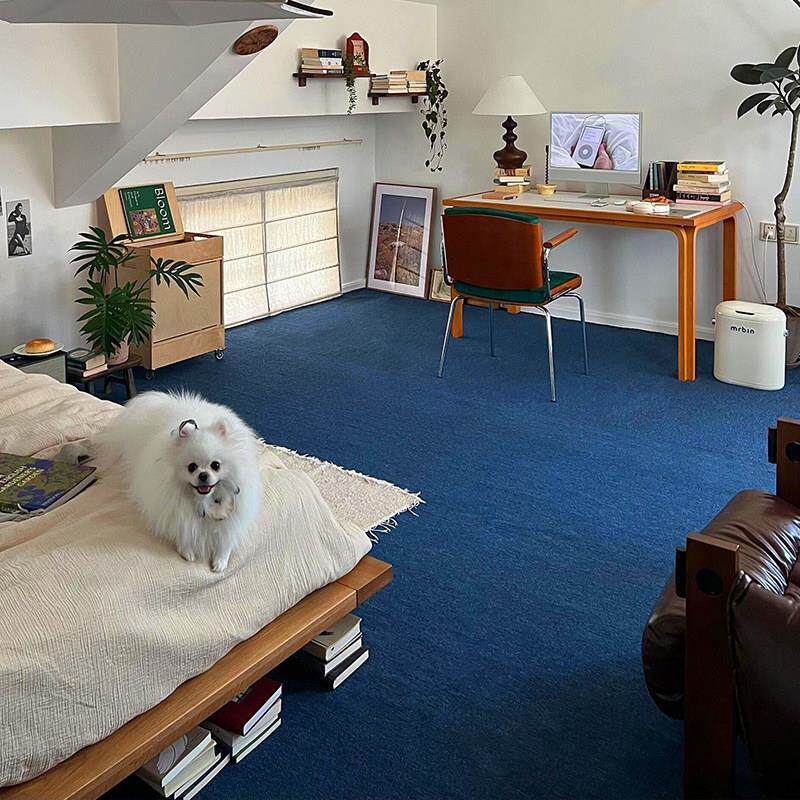 布里斯托 托蓝色地毯办公室商用摄影棚拍照地垫卧室出租屋改造垫