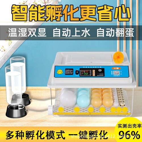 全自动孵化器家用小型鸡鸭鹅鸽芦丁鹌鹑孵化箱一机三用孵化机