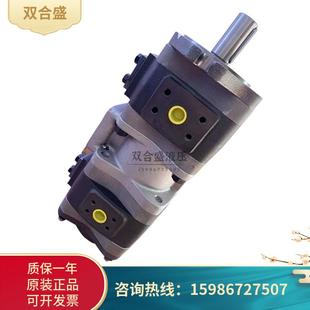 101 IPV5 三联泵 德国VOITH福伊特齿轮泵 IPV6