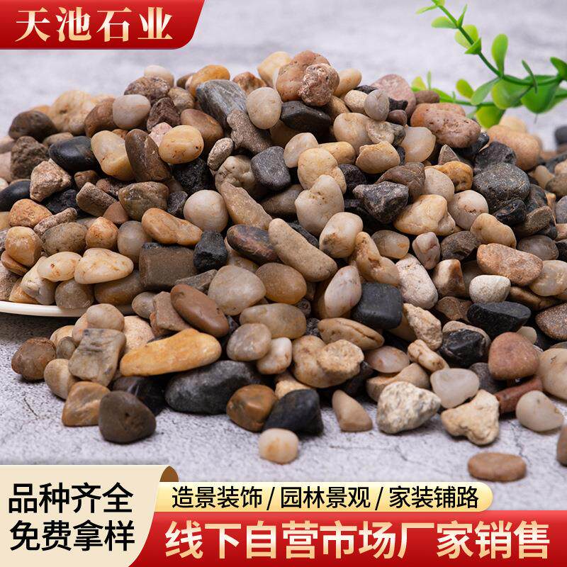 新款直销彩色抛光鹅卵石道路铺设五彩雨花石鱼缸造景花盆彩色石头