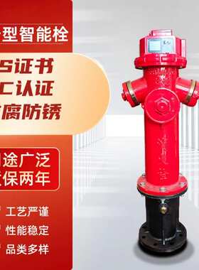 智能刷卡取水栓 刷卡型智能消火栓 SS100/65-1.6ZN消防栓4G地上栓