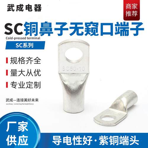 供应铜鼻子无窥口端子铜管 接线冷压端子喇叭口铜鼻子连接器