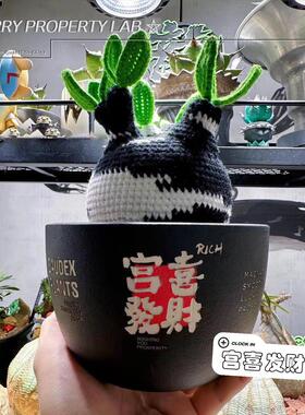 130潮流块根植物龙舌兰龟甲龙块根SRL陶瓷手工花盆NEIGHBORHOOD