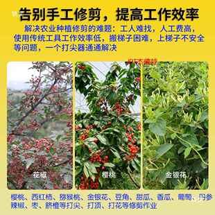 新款电动打尖打顶机金银花椒葡萄豆角打头打花锂电全套逸帆