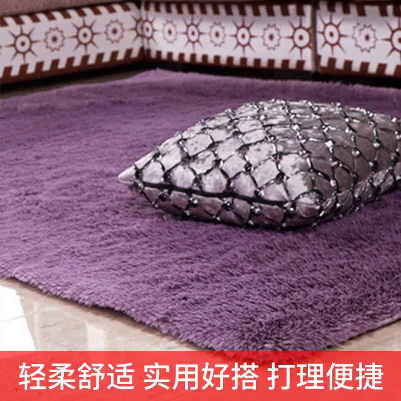 家用简约卧室地垫丝毛地毯客厅茶几沙发垫子床边红地毯地垫