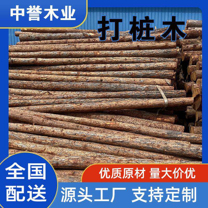 杉木原木桩户外河岸护坡圆木桩园林绿化树木支撑杆落叶松打桩木