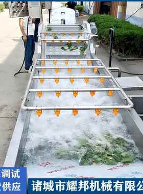 酸动豆角焯水线 酸笋汆汆水机 食品厂大YFV型自果蔬水流全水线设