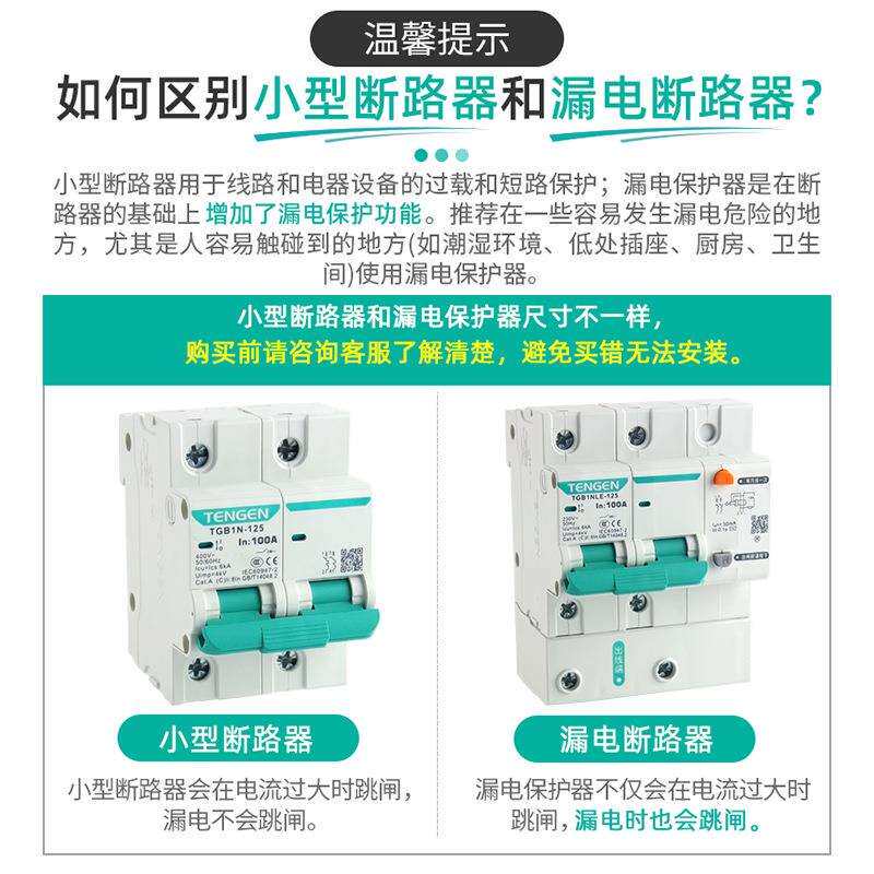 天正TGB1NLE-125漏保1P2P3P+N4P漏电保护断路器C型DZ47LE保护开关