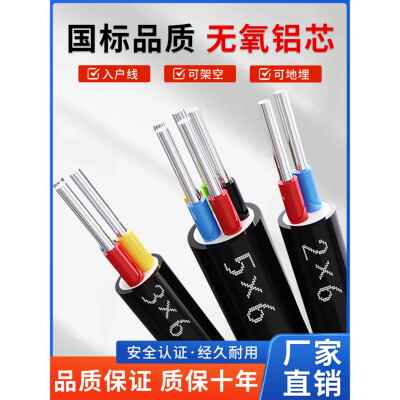 国标2芯3芯4芯5铝芯电线4 6 10 16 25平方三相四线铠装铝芯电缆线