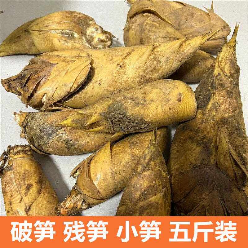 现挖新鲜冬笋鲜笋农家现挖现发冬笋黄泥拱笋尖破笋残笋小笋5斤装