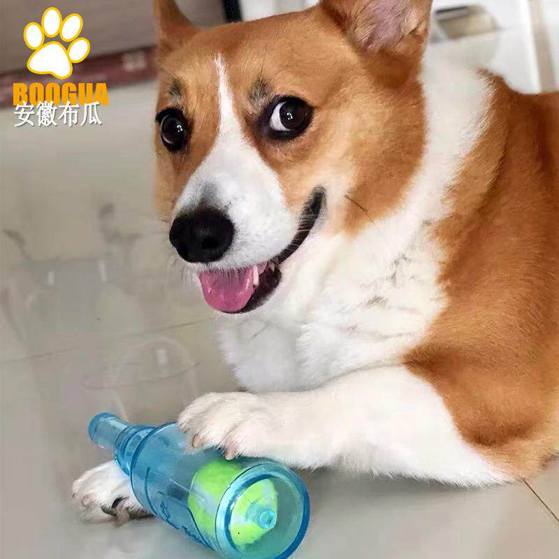 跨境出口外贸宠物犬发声磨牙可户外漂浮水互动训练网球啤酒瓶狗玩