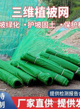 三维植被网绿化植草网边坡固土三维土工网垫护坡生态绿色植被网
