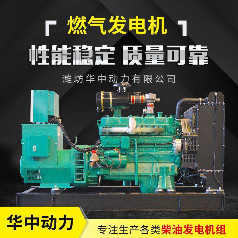 天燃气50kw发电机组供应小型燃气发电机组 燃气机组厂家
