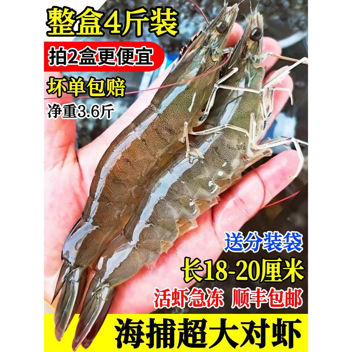 3.6斤海捕大对虾鲜活速冻特大虾海鲜海虾白虾青坏单包赔盒装顺丰