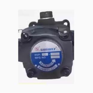 F40 A4齿轮泵液压泵柱塞泵 SUNWAY叶片泵HVP 原装