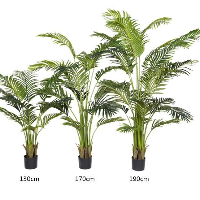 玫蕊北欧造景仿真葵树天竺葵假绿植盆栽室内家居散尾葵树凤尾葵批