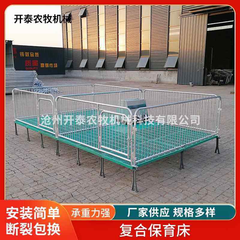 养殖场仔猪保育床加厚镀锌钢管复合保育床仔猪复合保育床