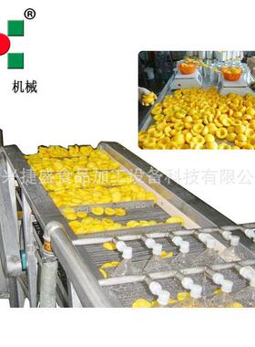 工厂直销杏子清洗速冻加工线 冷冻水果加工设备 速冻黄桃块速冻线