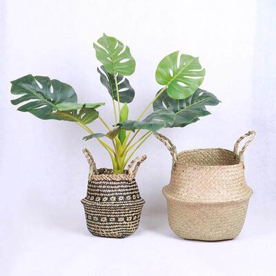 Nordic ins straw basket home green plant piano leaf fig turt