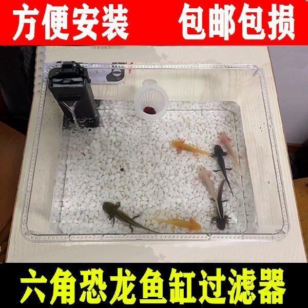 六角恐龙鱼的鱼缸六角恐龙鱼躲避屋蝾螈饲养缸水陆两栖龟缸大容量