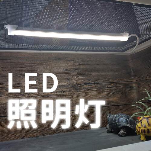 爬虫箱陆龟蜥蜴饲养箱鬃狮玻璃爬宠爬箱LED照明灯USB插口节能型
