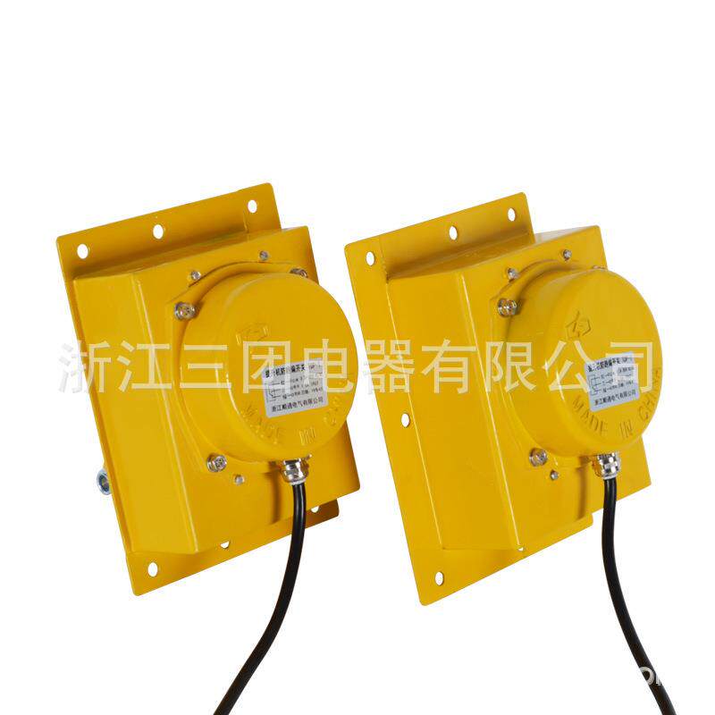 TDP-1 提升机跑偏开关 TDP-I 胶带提升机跑偏开关 输送带急停开关