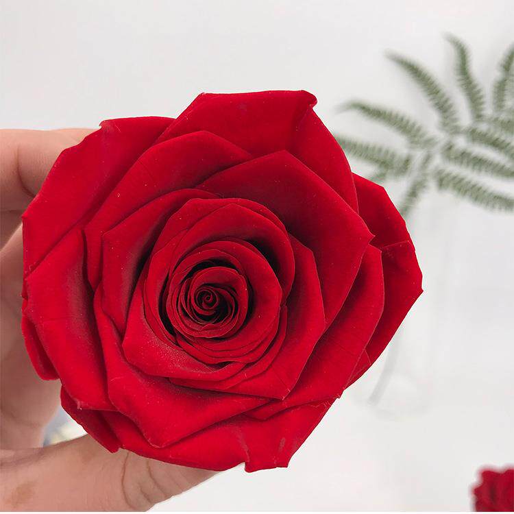 永生玫瑰花头6cm 辅材A级保鲜花花材现货包邮 昆明工厂永生花花头
