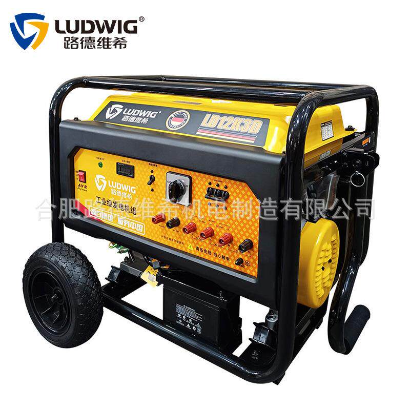 LD12K3D 工业级汽油发电机组220V/380V小型家用户外摆摊露营电源